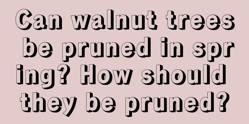 Can walnut trees be pruned in spring? How should they be pruned?