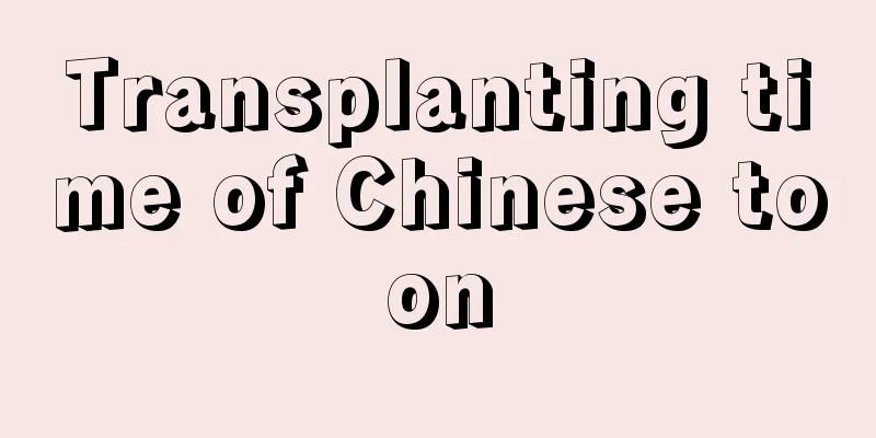 Transplanting time of Chinese toon