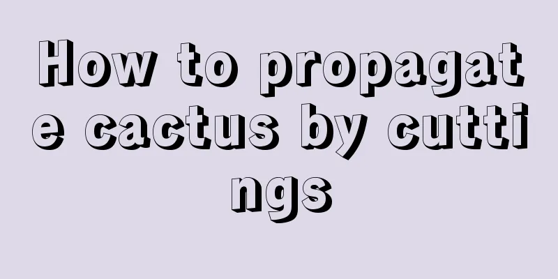 How to propagate cactus by cuttings