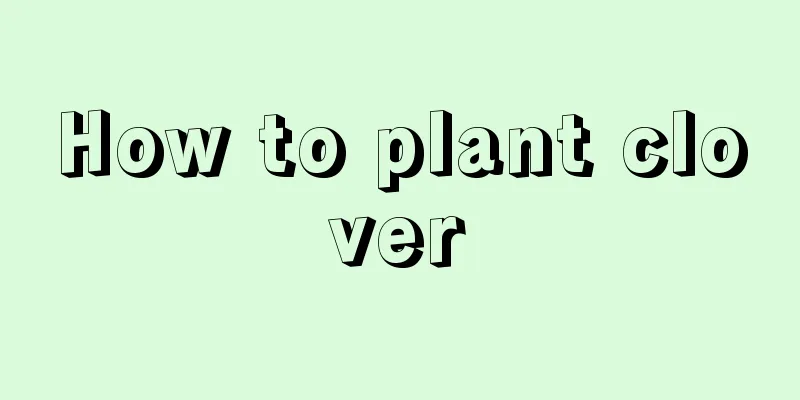 How to plant clover