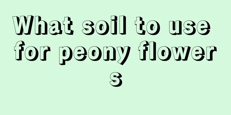 What soil to use for peony flowers