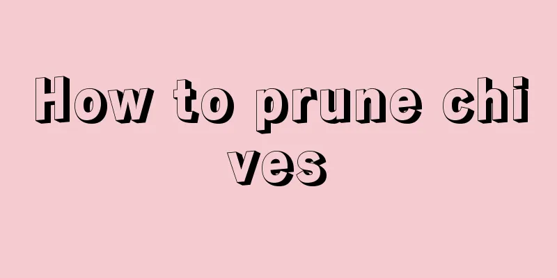 How to prune chives