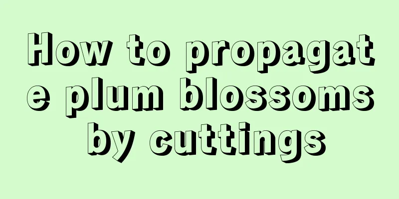 How to propagate plum blossoms by cuttings