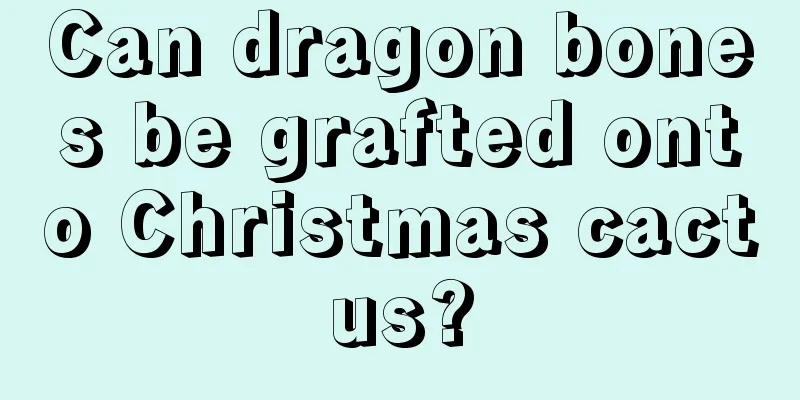 Can dragon bones be grafted onto Christmas cactus?