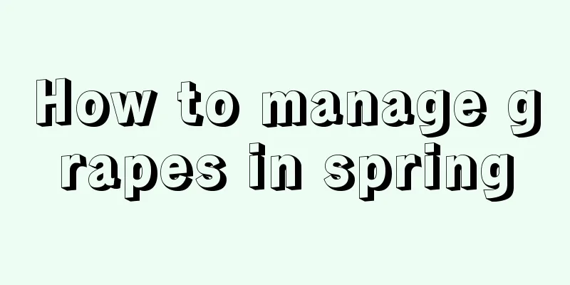 How to manage grapes in spring