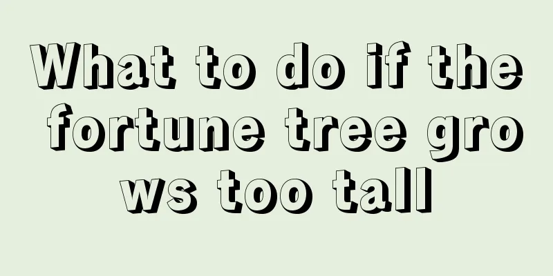 What to do if the fortune tree grows too tall