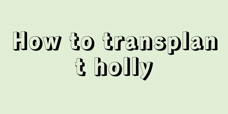 How to transplant holly