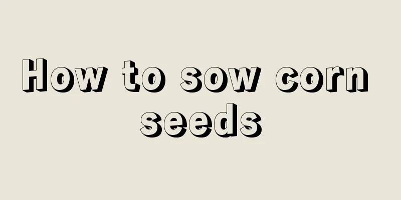 How to sow corn seeds