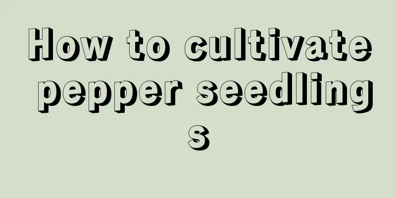 How to cultivate pepper seedlings