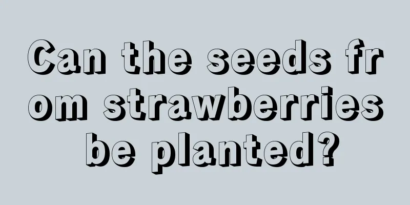 Can the seeds from strawberries be planted?