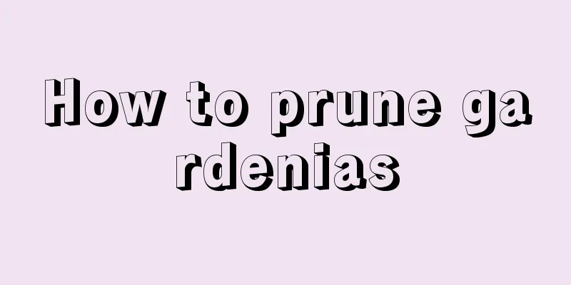 How to prune gardenias