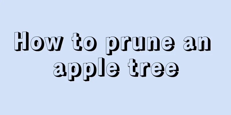 How to prune an apple tree