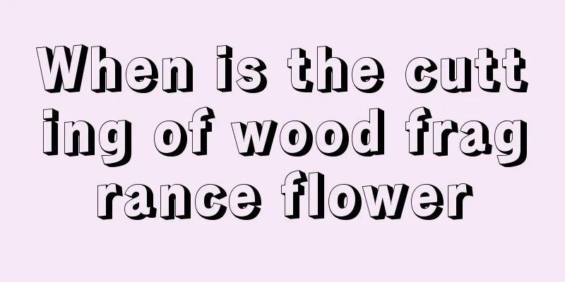 When is the cutting of wood fragrance flower