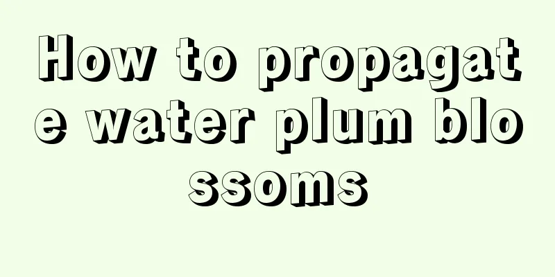 How to propagate water plum blossoms