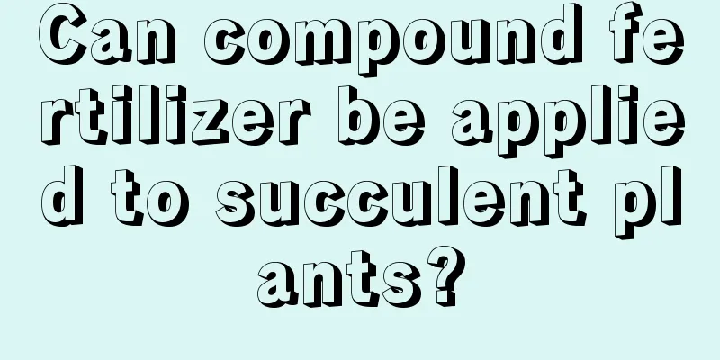 Can compound fertilizer be applied to succulent plants?