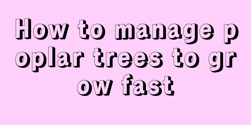 How to manage poplar trees to grow fast