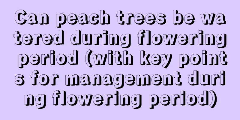 Can peach trees be watered during flowering period (with key points for management during flowering period)