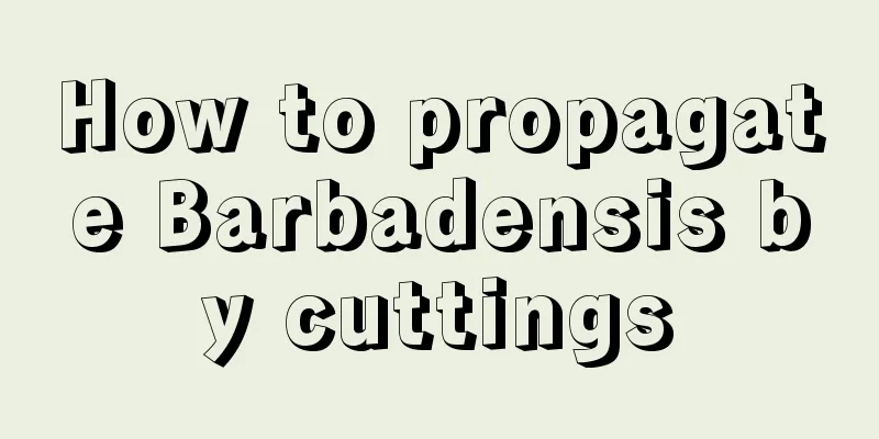 How to propagate Barbadensis by cuttings