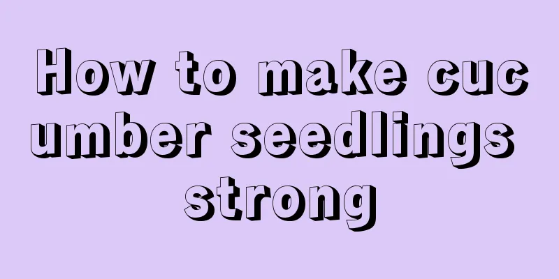 How to make cucumber seedlings strong