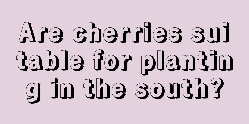 Are cherries suitable for planting in the south?