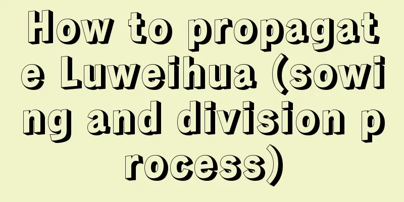 How to propagate Luweihua (sowing and division process)