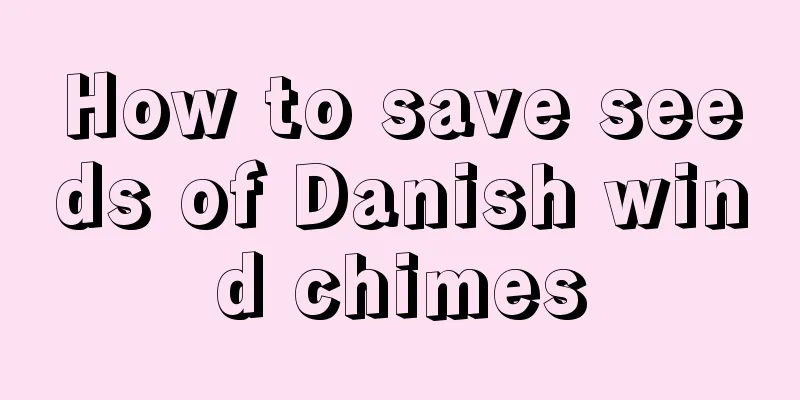 How to save seeds of Danish wind chimes