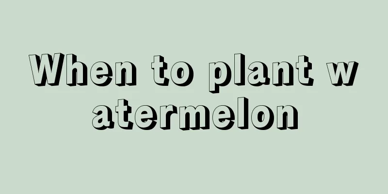 When to plant watermelon