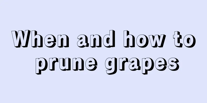 When and how to prune grapes