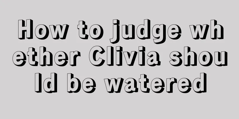 How to judge whether Clivia should be watered