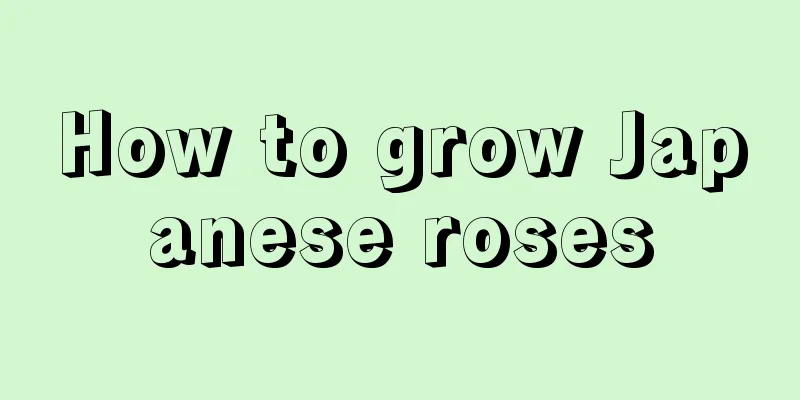 How to grow Japanese roses