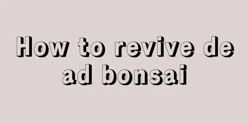 How to revive dead bonsai