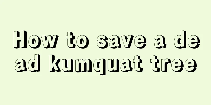 How to save a dead kumquat tree