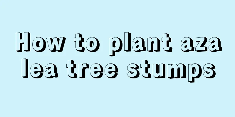 How to plant azalea tree stumps