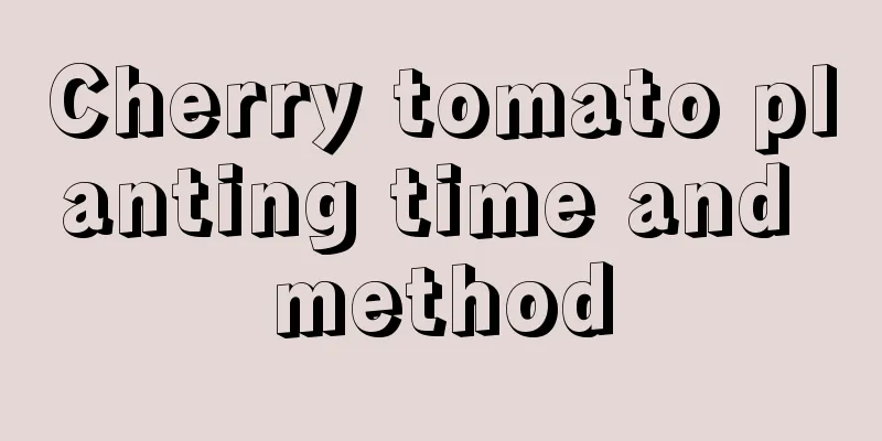 Cherry tomato planting time and method