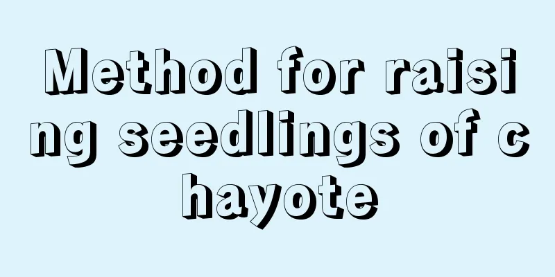 Method for raising seedlings of chayote