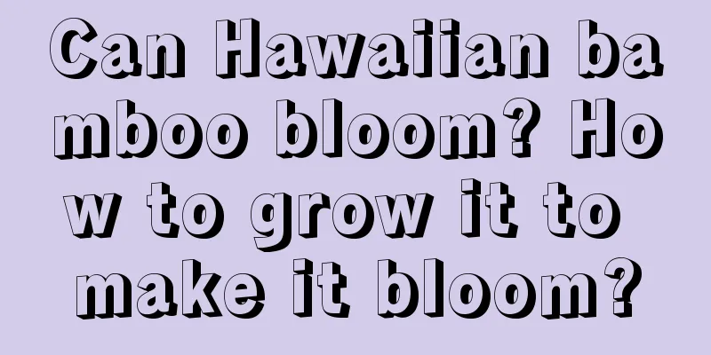 Can Hawaiian bamboo bloom? How to grow it to make it bloom?