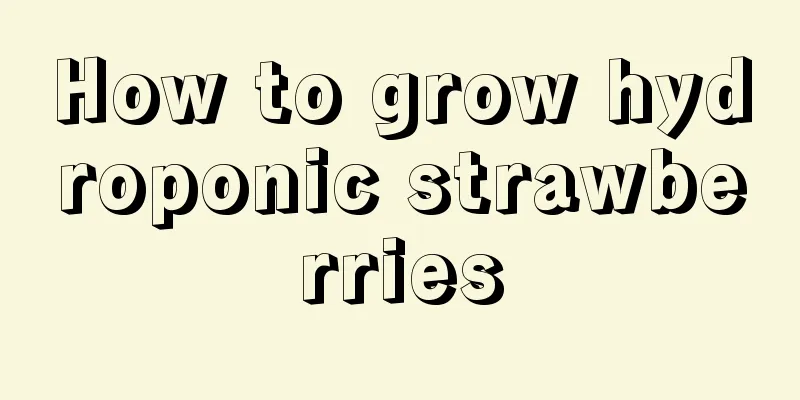 How to grow hydroponic strawberries