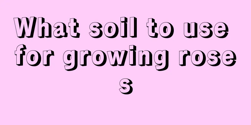 What soil to use for growing roses