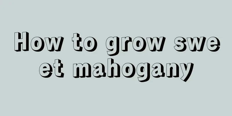 How to grow sweet mahogany