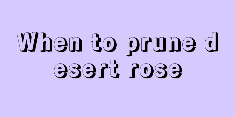 When to prune desert rose