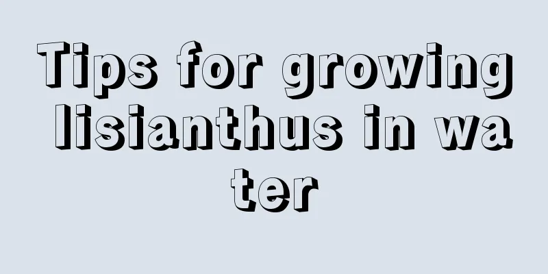 Tips for growing lisianthus in water