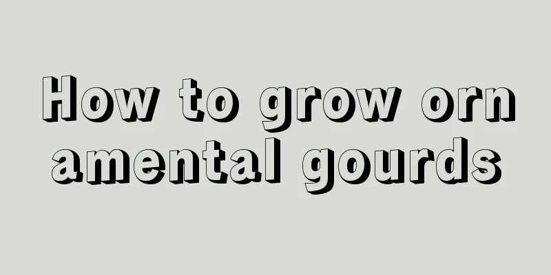 How to grow ornamental gourds