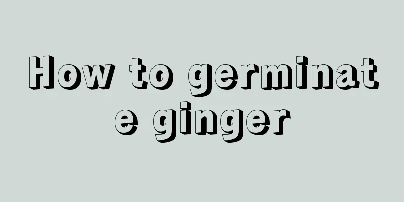 How to germinate ginger