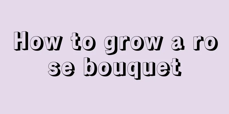 How to grow a rose bouquet