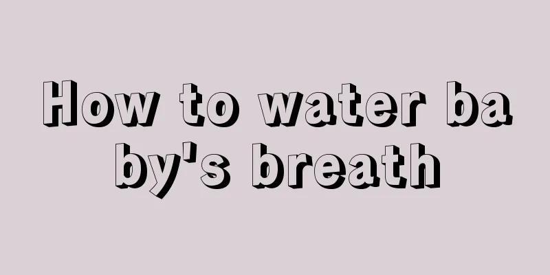 How to water baby's breath