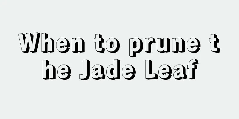 When to prune the Jade Leaf