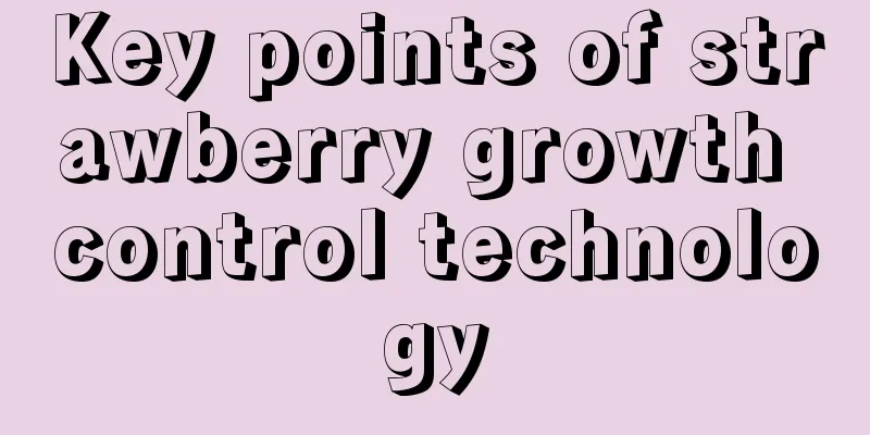 Key points of strawberry growth control technology