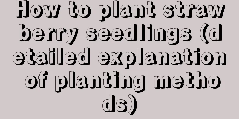 How to plant strawberry seedlings (detailed explanation of planting methods)