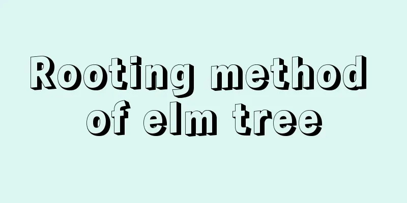 Rooting method of elm tree