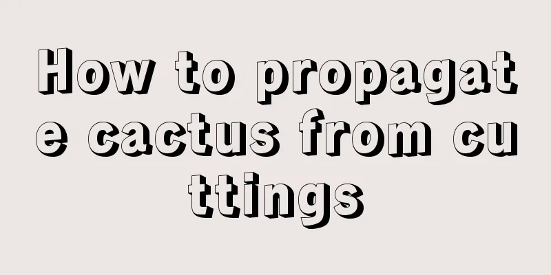 How to propagate cactus from cuttings